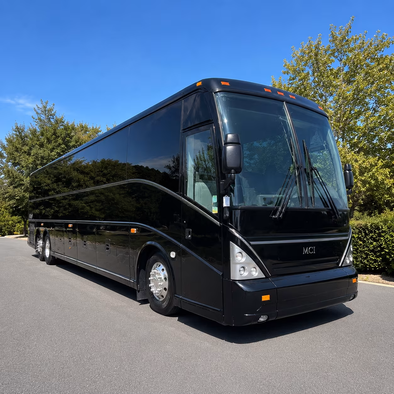 booking a bus to the jacksonville zoo mosh and northeast florida s top destinations