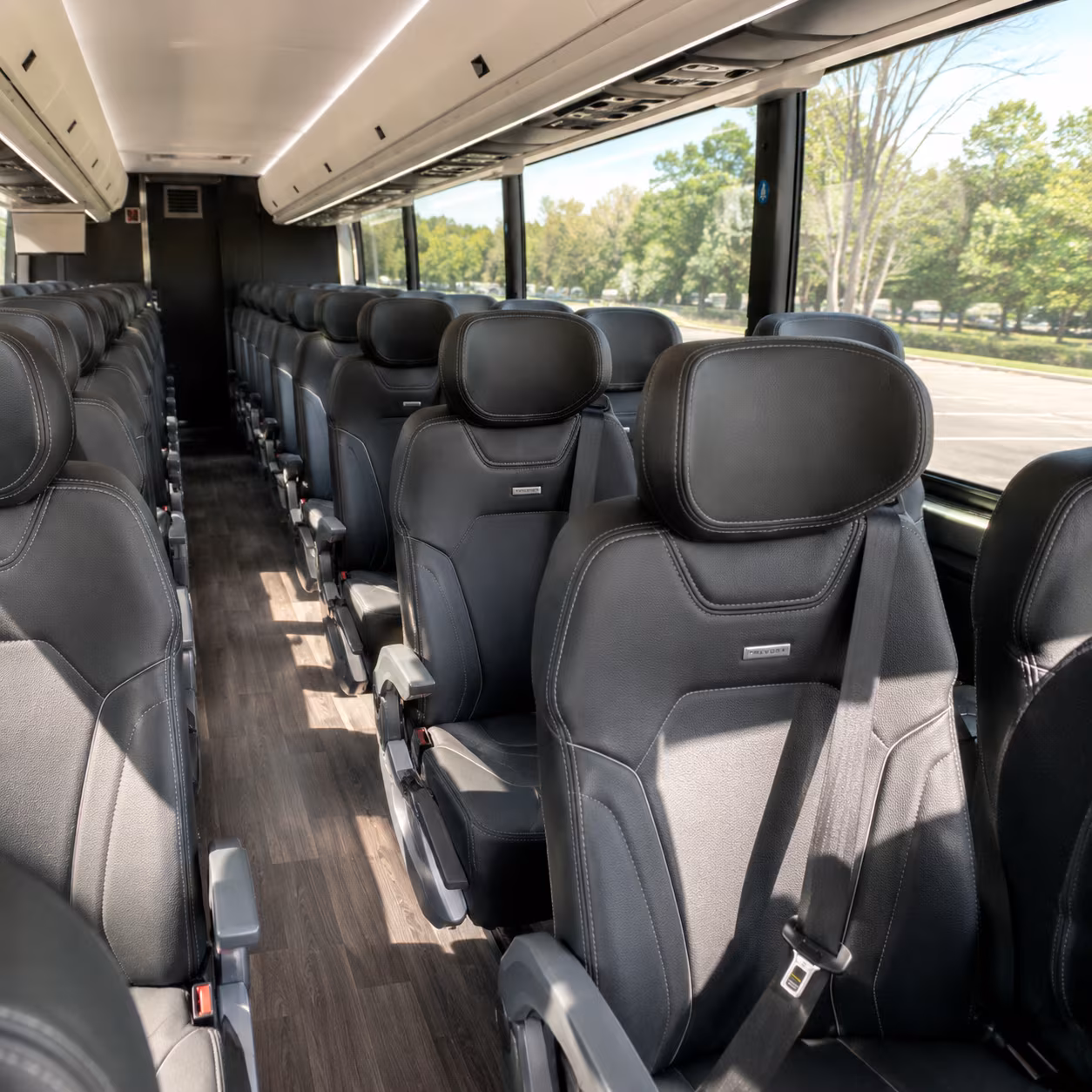 palm coast prom transportation onboard seating